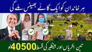 bisp new program